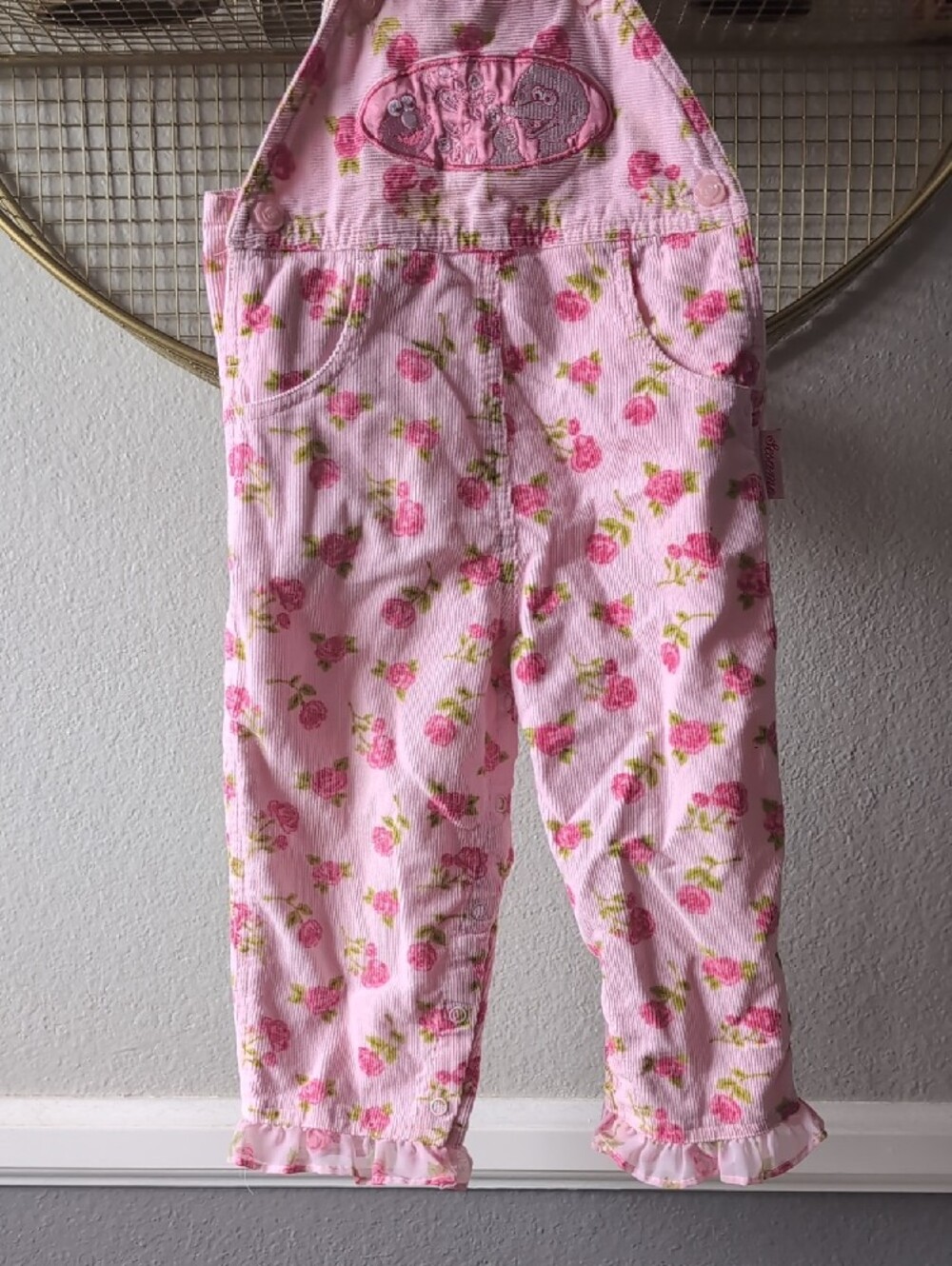 Sesame Street Pink Floral Girls' Overalls, Elmo And Big Bird - Picture 3 of 12